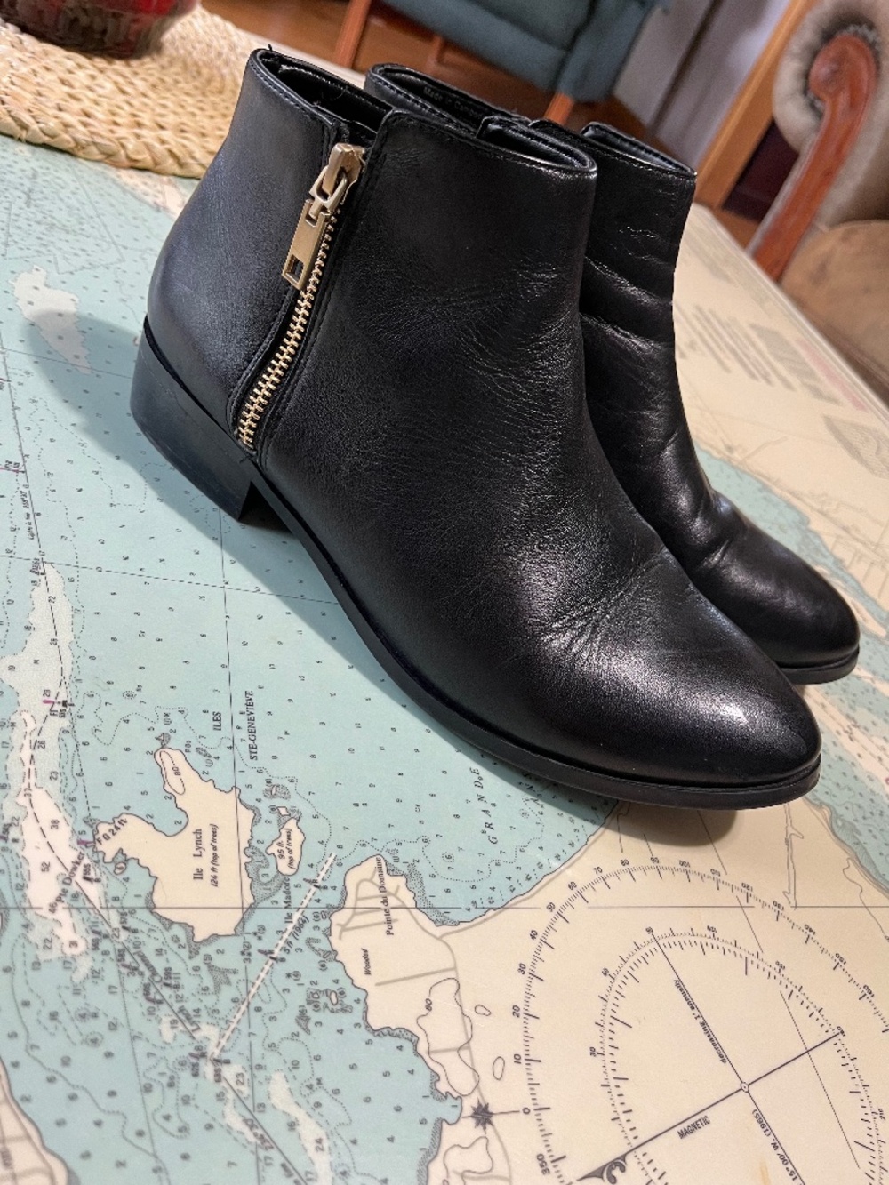 Aldo Black Leather Ankle Boots with Zipper